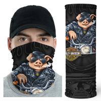 Product Bikergod Harley Davidson American Road Warrior Bandana Face Cover DHBDN211